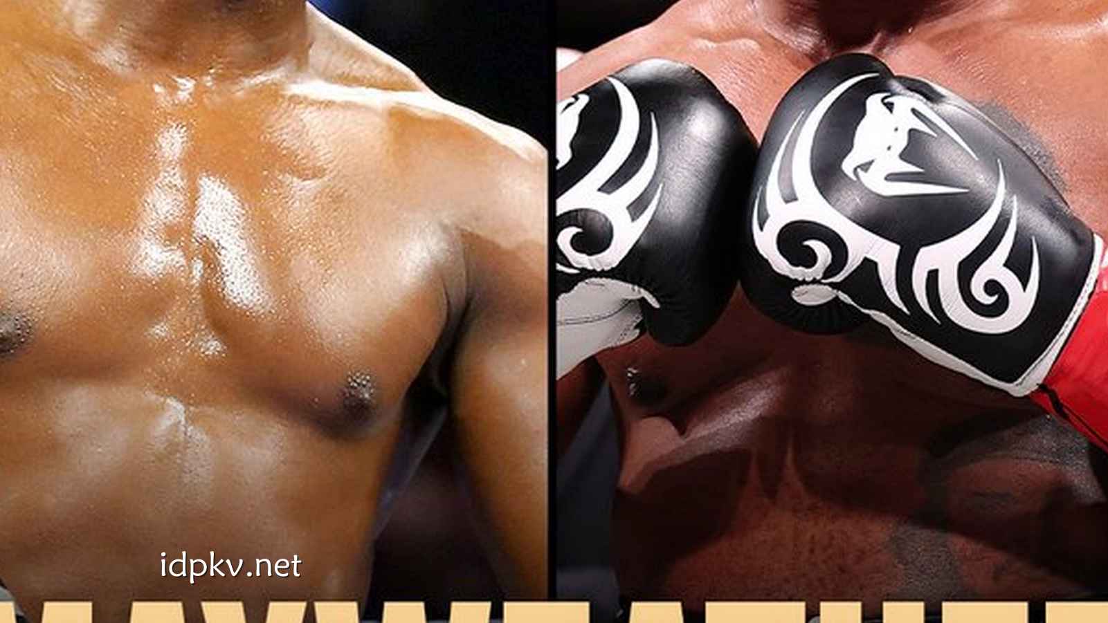 BB体育深度解析 - 定档今年4月！59岁泰森再战拳台 将与梅威瑟上演传奇对决